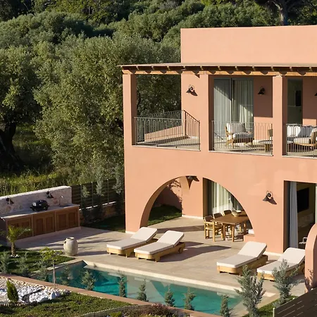 فيلة Analidia Experience