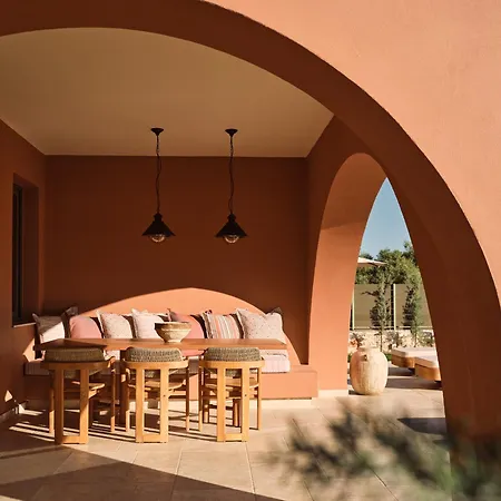 فيلة Analidia Experience