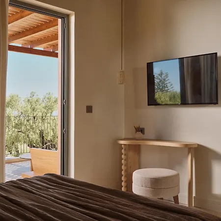 فيلة Analidia Experience مدينة زاكينثوس